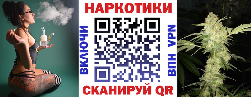 МЕФ Гудермес