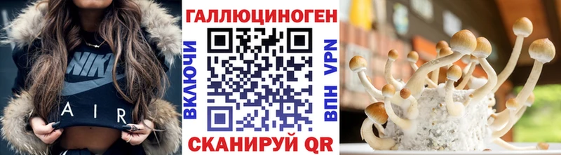 дарнет шоп  Гудермес  Псилоцибиновые грибы мухоморы 