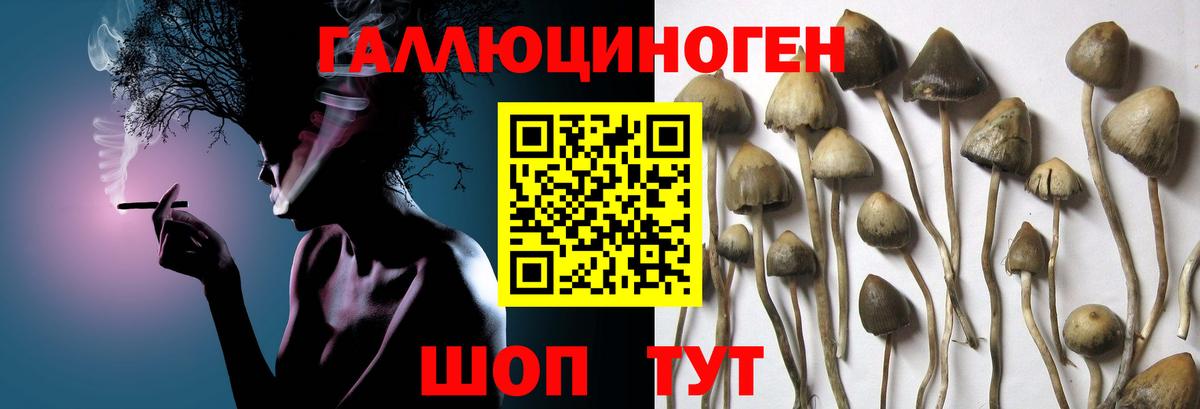 МЕТ  Меф кристаллы  Гудермес  Продажа наркотиков  COCAIN  Alpha-PVP СК кристаллы  Вход с VPN  Гашиш  Бошки Шишки  Конопля 
